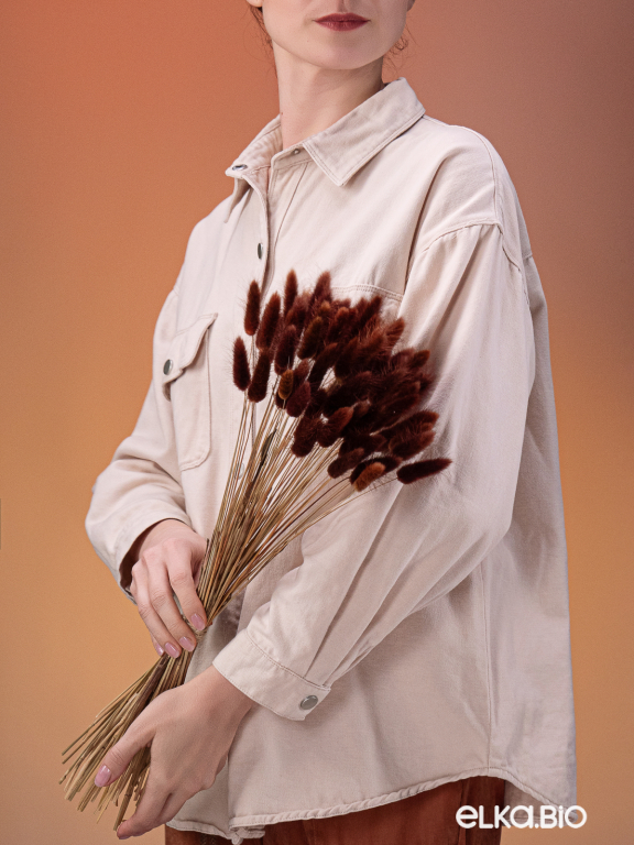 Лагурус коричневый высший сорт - 60 шт