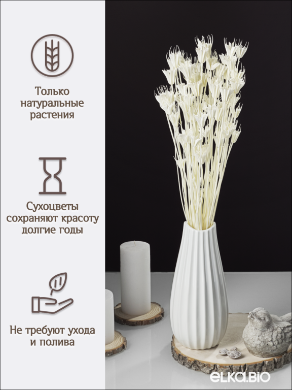 Нигелла белая 50г. Высший сорт. Высота 40-55 см. М403
