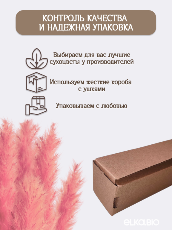 Пампас мини розовый 15 шт. Высший сорт. Высота 40-50 см. М731