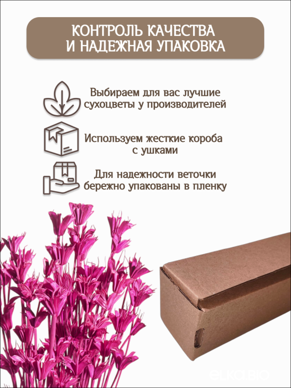 Нигелла фуксия 50г. Высший сорт. Высота 40-55 см. М408