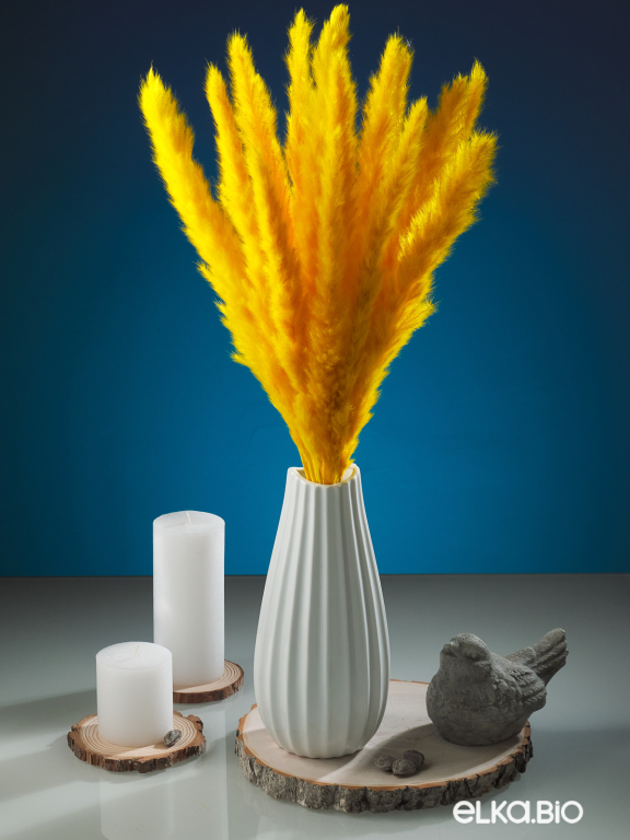 Трава сухоцвет пампас мини 90 шт. ярко-жёлтый первый сорт