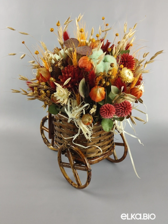 Сухоцветы в корзине на велосипеде Б38-B100