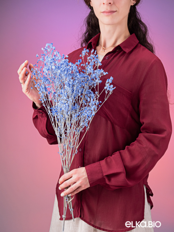 Гипсофила стабилизированная синяя 140 гр. высший сорт М165 Гипсофила стабилизированная синяя 140 гр. высший сорт М165