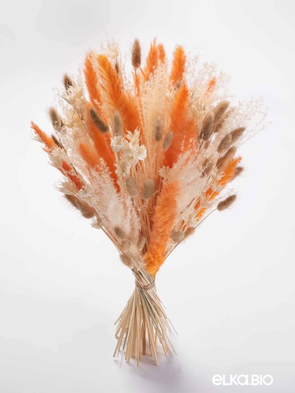 Натуральные сухоцветы для декора. Набор М075