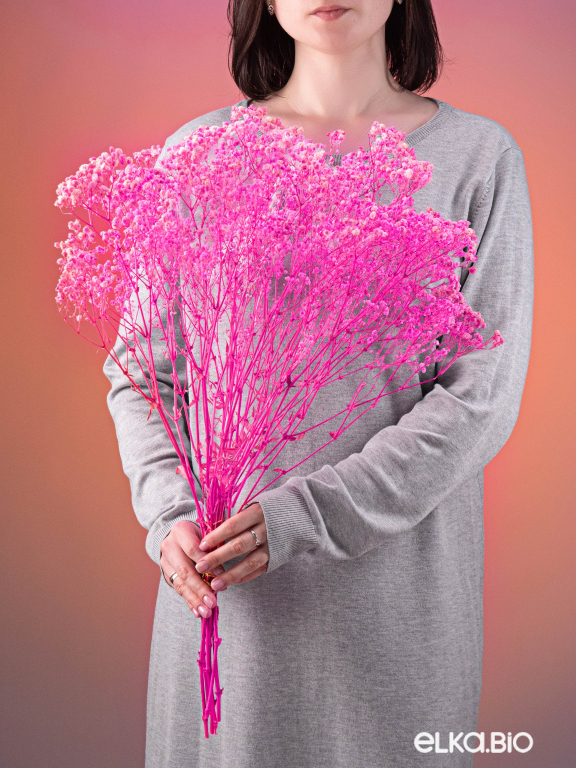 Гипсофила фуксия 140г. Высший сорт - стабилизированная М680