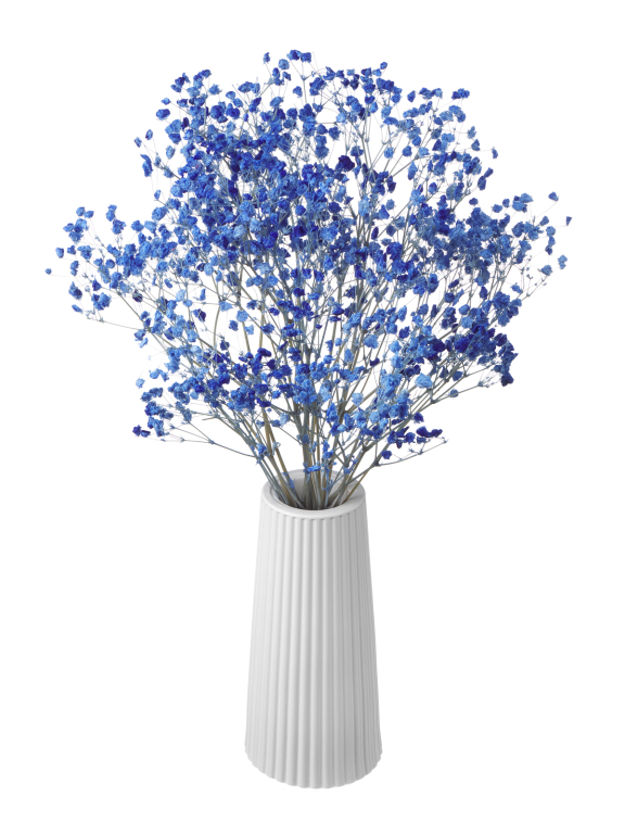 Гипсофила стабилизированная синяя 50 гр. высший сорт М177