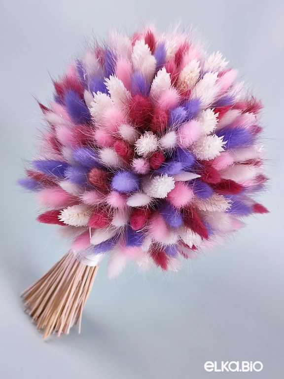 Букет из разноцветного лагуруса Т194-B107