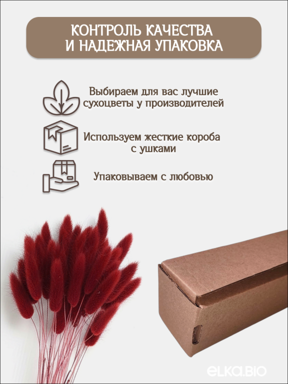 Лагурус бордово-коричневый 30 шт. Высший сорт. Высота 25-35 см М472