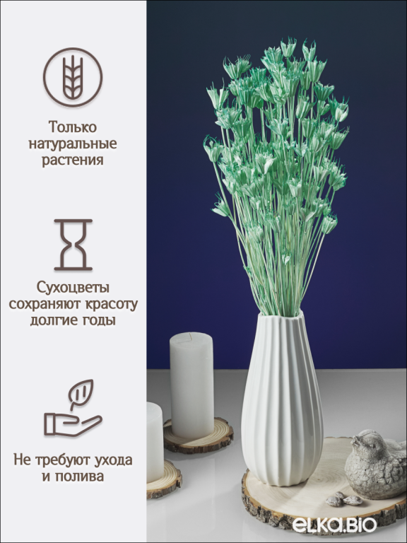 Нигелла морская волна 50г. Высший сорт. Высота 40-55 см. М726