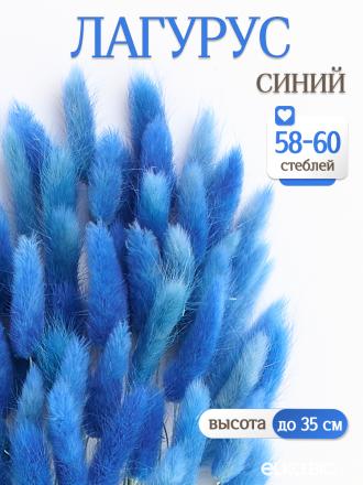 Лагурус синий 60 шт. Высший сорт. Высота 25-35 см М236
