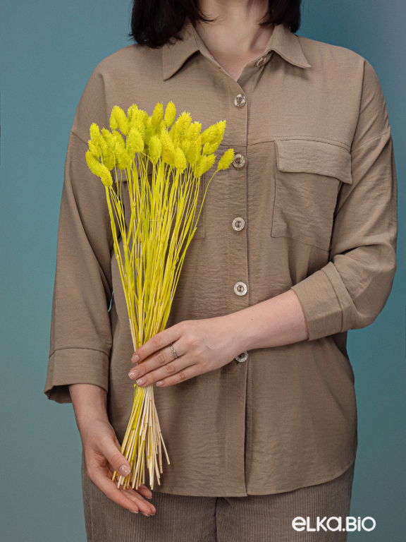 Фалярис салатовый (40шт) М110 Фалярис салатовый (40шт) М110