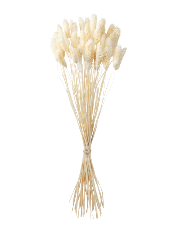 Фалярис белый  (40шт) М103