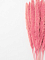Пампас мини розовый 15 шт. Первый сорт 