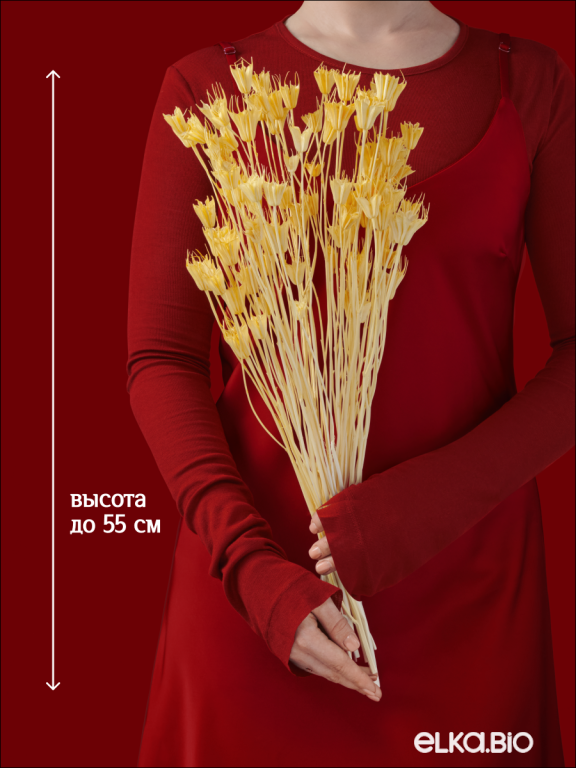 Нигелла светло -  оранжевая 50г. Высший сорт. Высота 40-55 см. М406