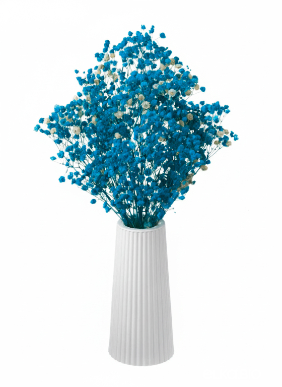 Гипсофила ярко-бирюзовая 50г.  Высший сорт - стабилизированная М627