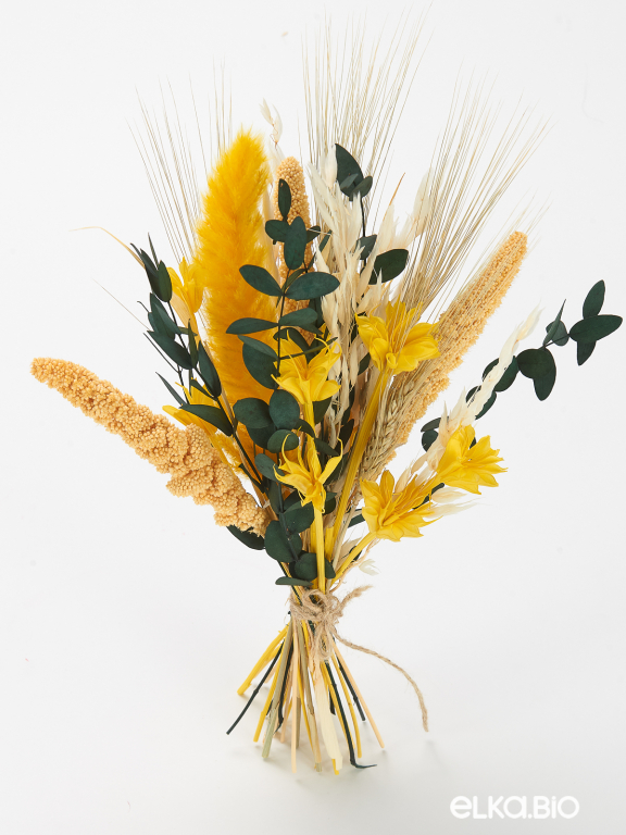 Яркие сухоцветы для декора в наборе М316
