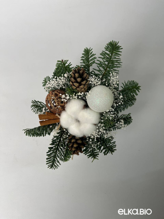 Настольная композиция из Нобилиса с хлопком К2