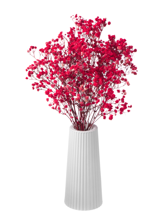 Гипсофила стабилизированная красная 50 гр. высший сорт М174