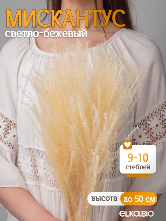 Мискантус светло-бежевый 10 шт. Высший сорт М039