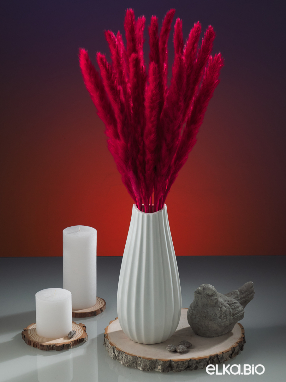 Трава сухоцвет пампас мини 15 шт. тёмно-красный высший сорт