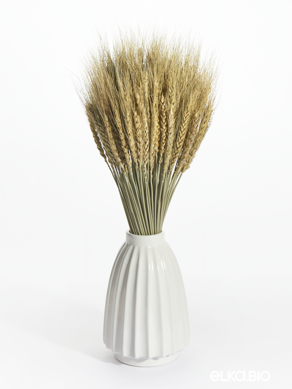 Пшеница натуральная зеленая 160 шт. Высший сорт М426