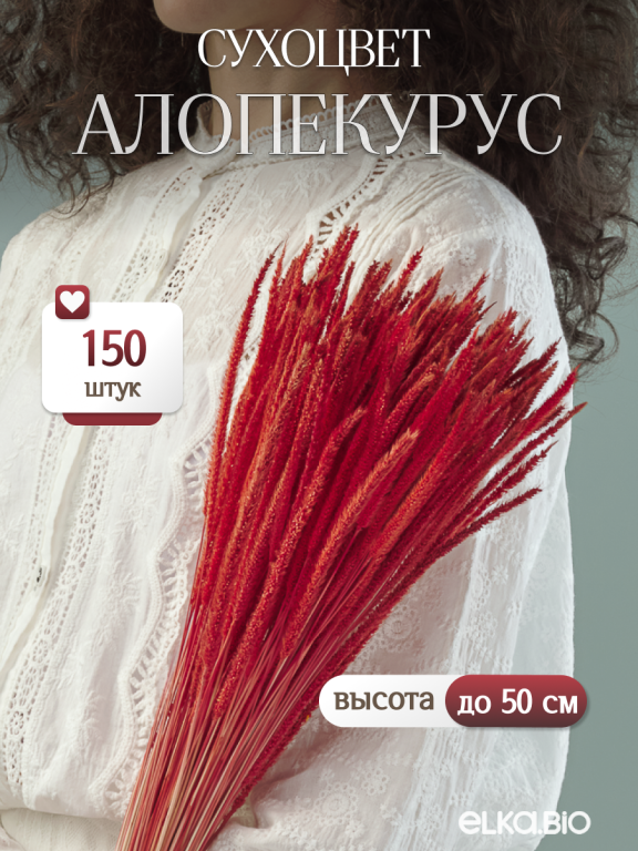 Алопекурус (тимофеевка) красный 150 шт. Высший сорт - до 50 см  М421