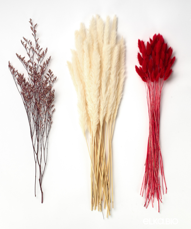 Набор сухоцветов для творчества М084