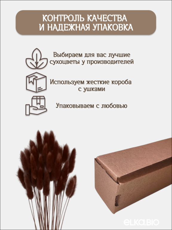 Лагурус коричневый 30 шт. Высший сорт. Высота 25-35 см М476