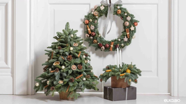 Лапник пихты Нобилис 15 кг