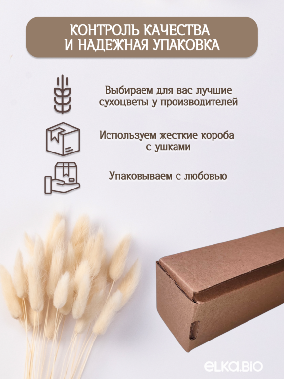 Лагурус белый 30 шт. Высший сорт. Высота 40-50 см М002