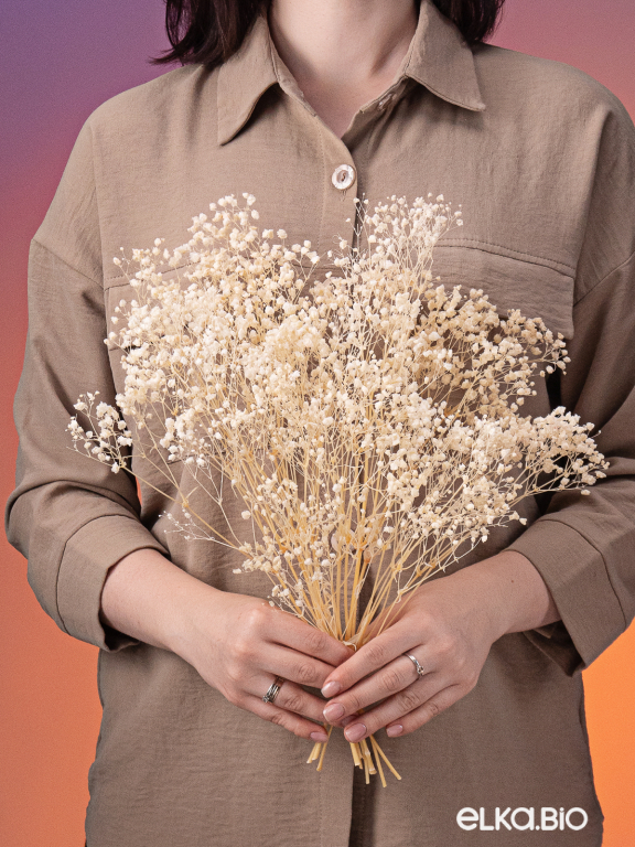 Гипсофила стабилизированная белоснежная 50 гр. высший сорт М169