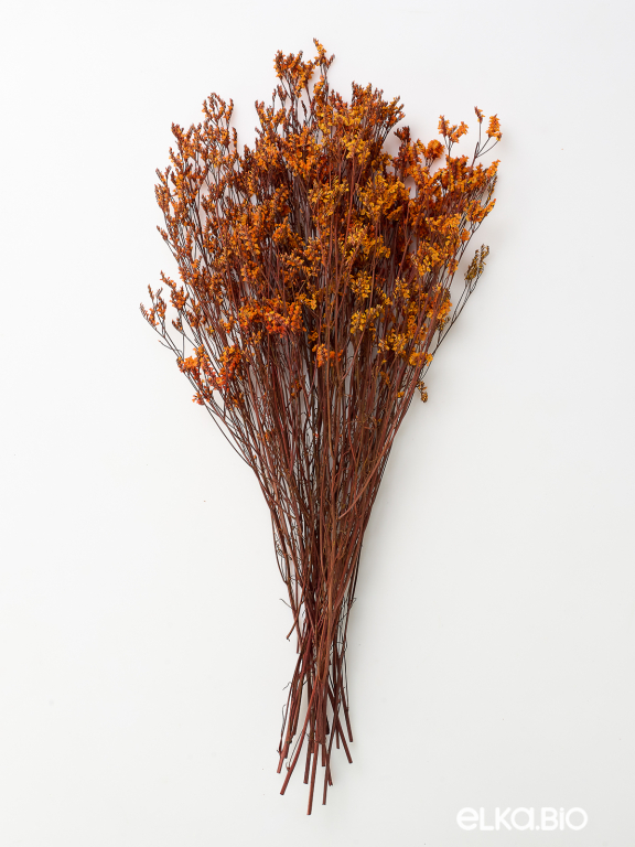 Цветы лимониума оранжевые (80г) М219