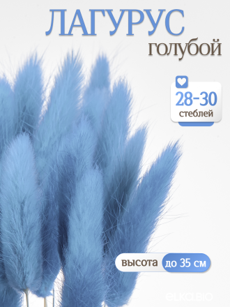 Лагурус голубой 30 шт. Высший сорт. Высота 25-35 см М652