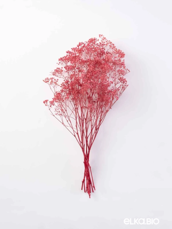 Гипсофила стабилизированная розовая 550 гр. первый сорт М5052