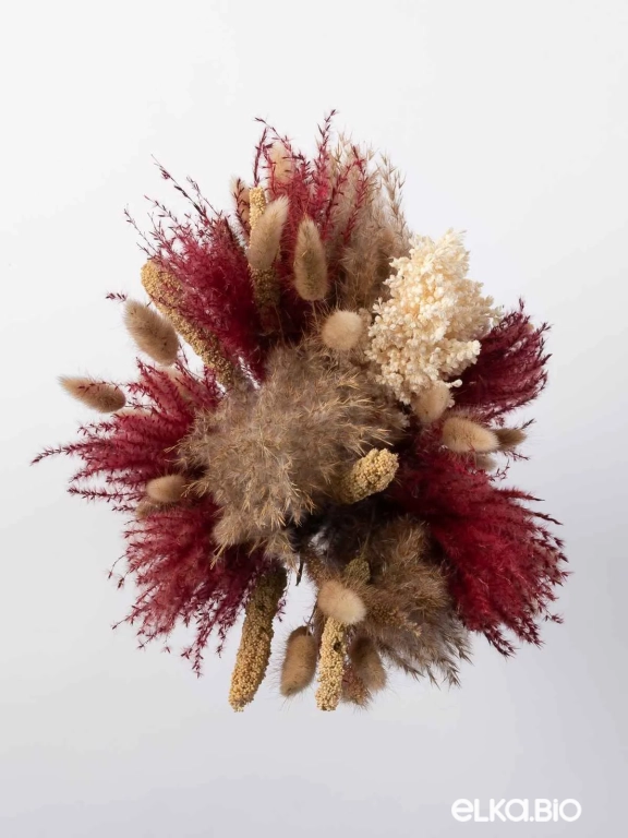 Сухоцветы для декора интерьера. Набор М071