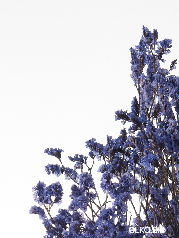 Цветы лимониума синие (80г) М220