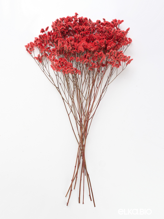Цветы лимониума красные (80г) М218