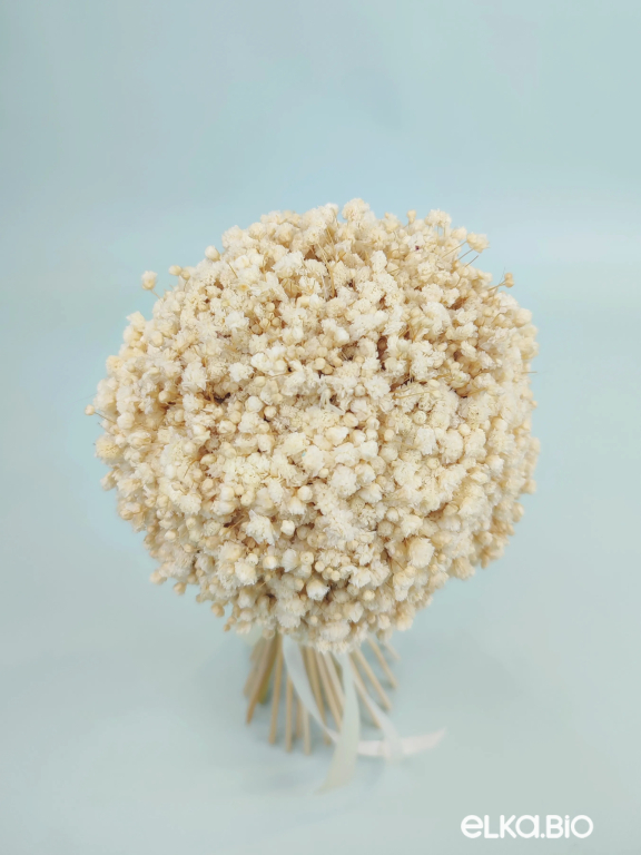 Cтабилизированный маленький букет из белых гипсофил Т252-B114