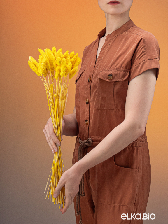 Фалярис жёлтый (40шт) М106