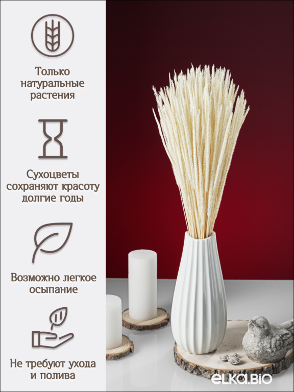 Алопекурус (тимофеевка) белый 150 шт. Высший сорт - до 50 см  М452