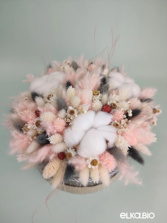 Фалярис и хлопок в шляпной коробке А170-B116