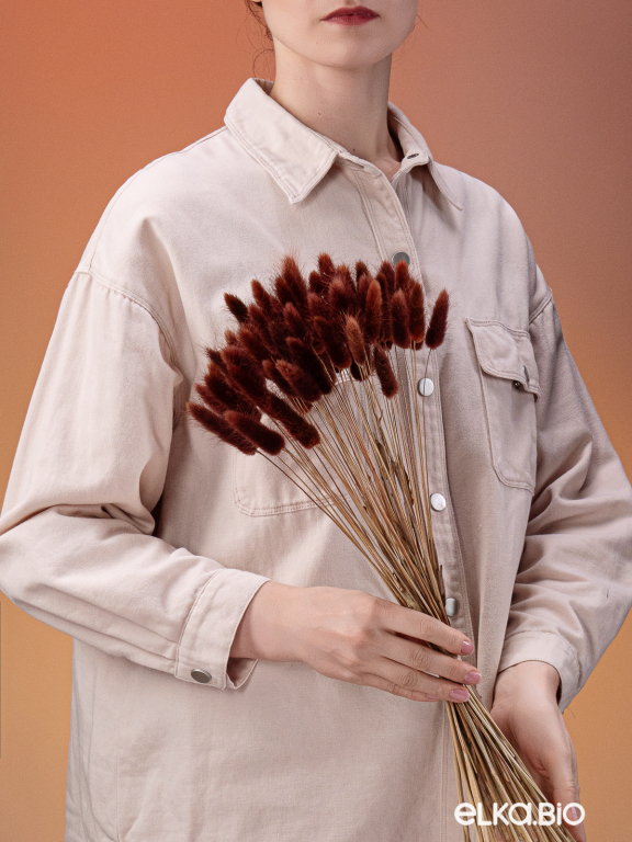 Лагурус коричневый первый сорт - 300 шт