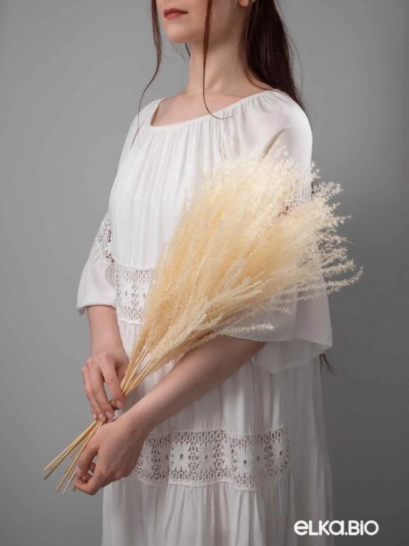 Мискантус светло-бежевый (9-10шт) М039