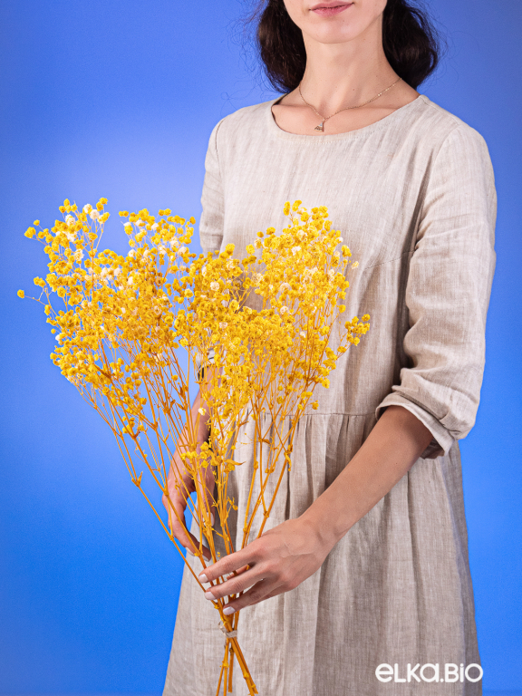 Гипсофила стабилизированная жёлтая 550 гр. первый сорт М5160