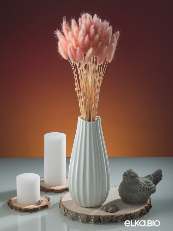 Лагурус светло-розовый высший сорт - 60 шт Лагурус светло-розовый высший сорт - 60 шт