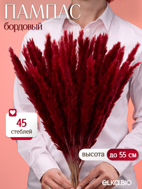 Пампас мини бордовый 45 шт. Высший сорт М270