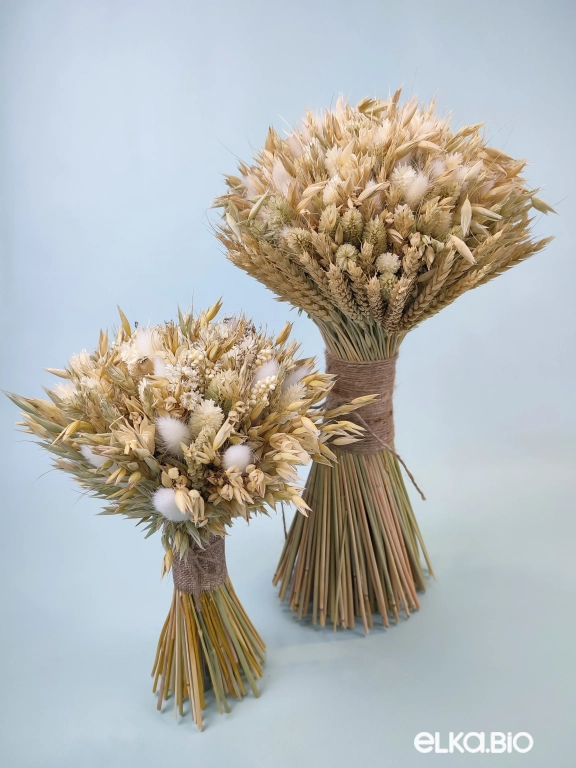 Букет сухоцветов овса и фаляриса Т248-B113