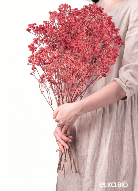 Гипсофила коралловая 140 г. Высший сорт - стабилизированная М671