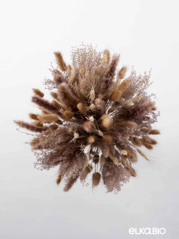 Сухоцветы для декора. Набор М059