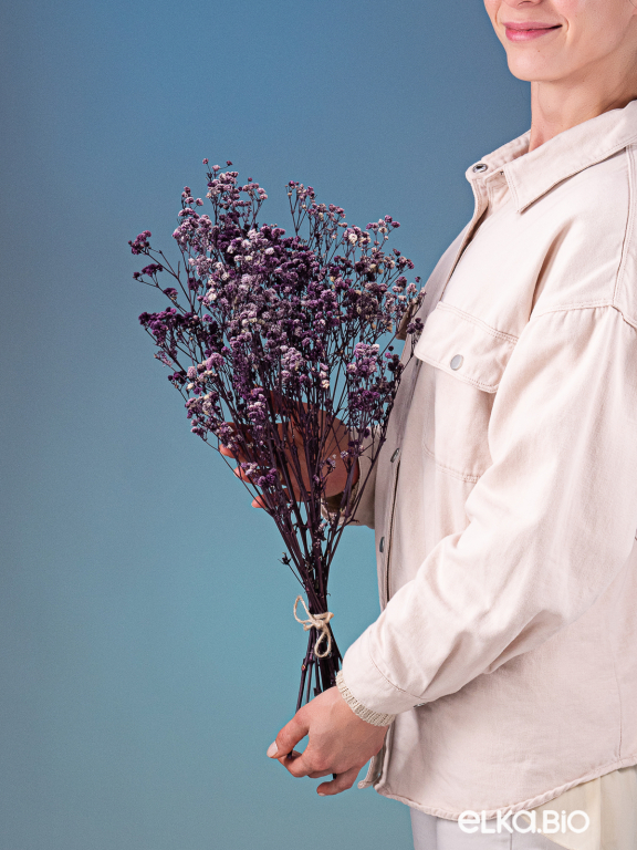 Гипсофила стабилизированная фиолетовая 140 гр. высший сорт М168